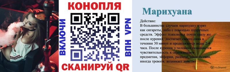 Как найти наркотики Новоржев Каннабис  COCAIN  Псилоцибиновые грибы  Alpha-PVP  Мефедрон  Гашиш 